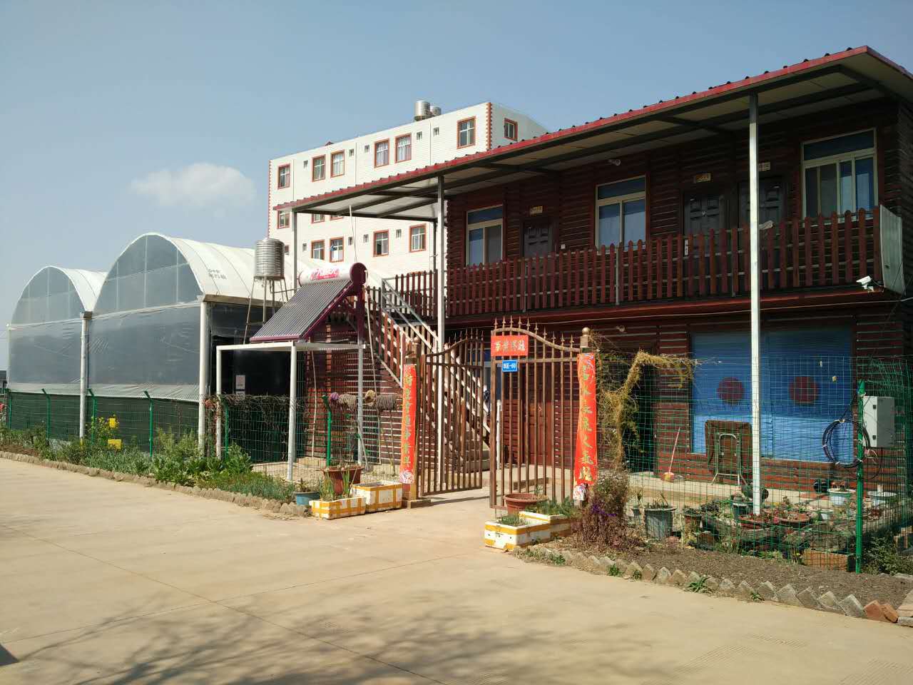 Huizhou Chasewin Decorative Flowers & Crafts Co., Ltd. dried flowers