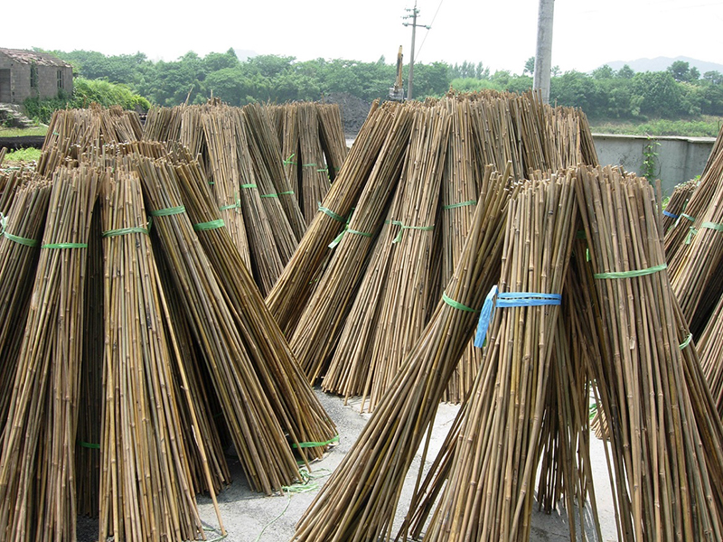 Sunbelt Group Co. Ltd. Bamboo Flooring