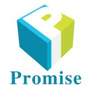 Ningbo Hi-tech Zone Promise Trading Co. Ltd logo