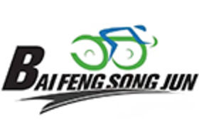 Foshan Baifeng Songjun Automobile Industry Co., Ltd. logo