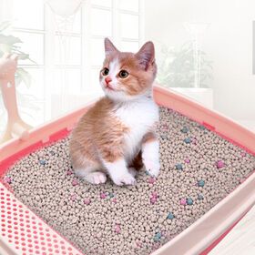 2019 cat product as seen on tv bentonite cat litter not silica cat litter