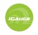 I Gauge Technology Co., Ltd. logo