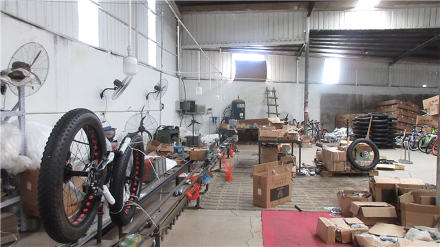 Hebei New Speed Technology Group Co., Ltd. Electric Bicycle