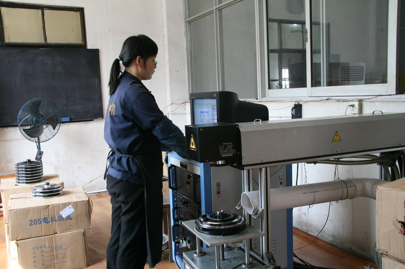 Changzhou Lvco Motors Co., Ltd electric bike motors
