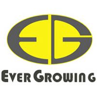 Company icon