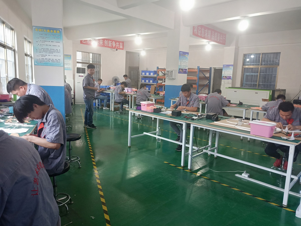 Guangdong Bolang Photoelectric Co., Ltd. LED Neon Light
