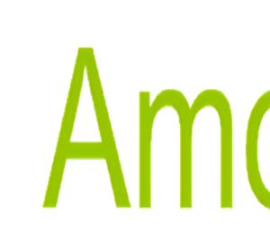 Company icon