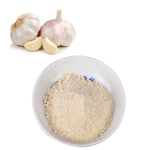 Wholesale Spices Organic Dried Garlic Powder 100-120 Mesh For Europe Market