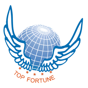 Company icon