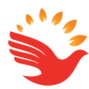 Company icon