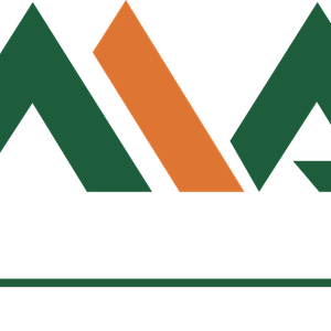 Company icon