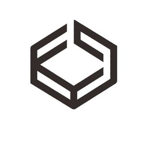 Company icon