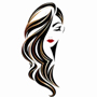 Niagara Human Hair Factory logo