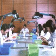 Shallin Electronics Co., Ltd. Switches