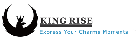 Liuzhou King Rise Commerce Co., Ltd. logo