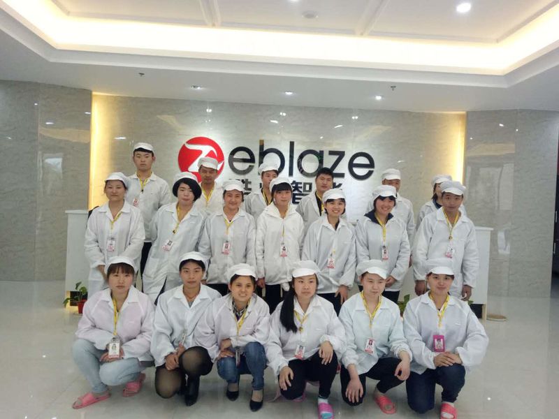 Hubei Zeblaze Smart Company Limited factory image 1