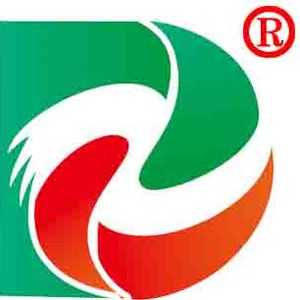 Company icon