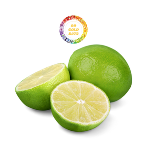 Best Seller Lemon Vietnam Handpicked High Quality Fresh Seedless Limes 100% Organic Product