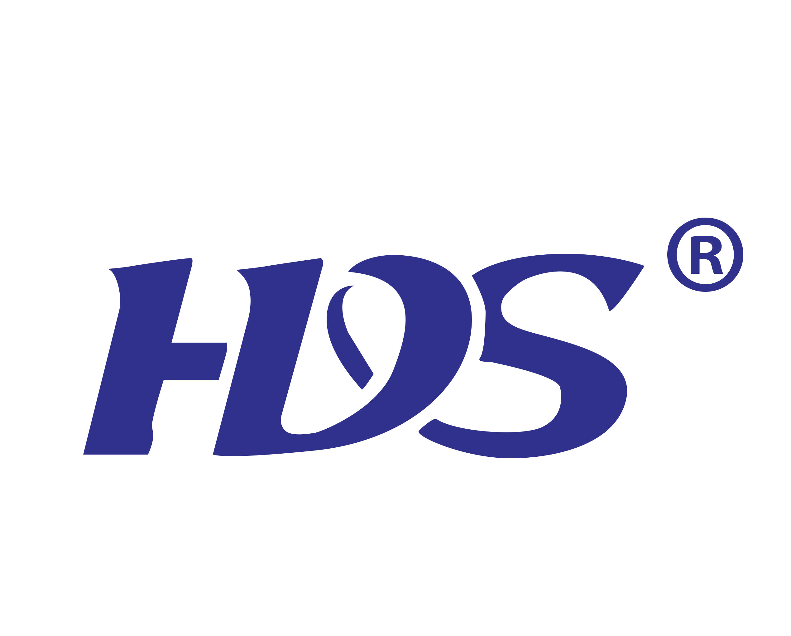 Wenzhou Huida Plastic Co., Ltd. logo