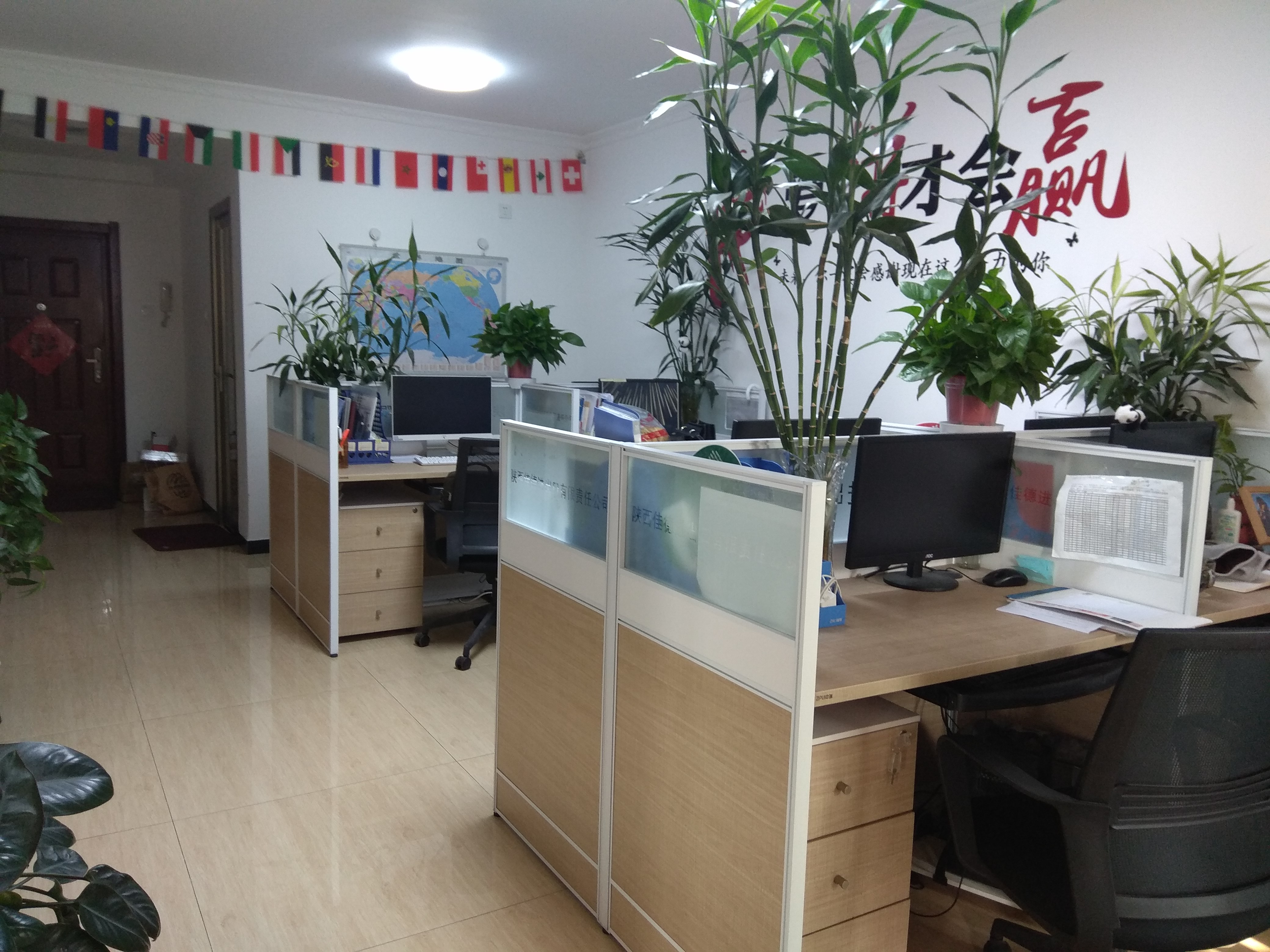 Shaanxi Jiade Import and Export Co., Ltd. factory image 2