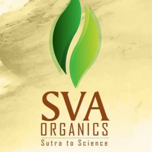 Company icon