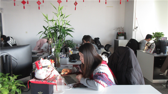 Beijing Ariel Technology Co., Ltd. CPUs