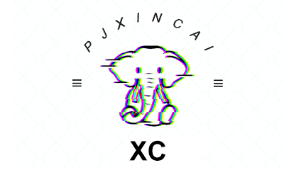 Pujiang Xincai Electronic Commerce Co., Ltd logo