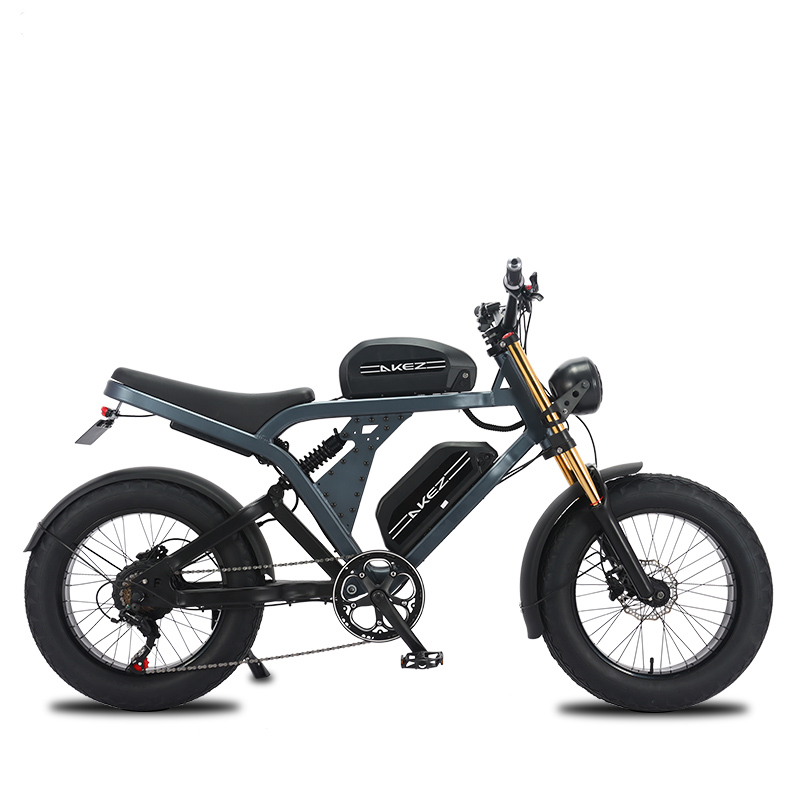 Shandong Laike Industry And Trade Co., Ltd. Super US/EU Warehouse 1000W/1500W Electric Bike Rear Rack 48V Smart Electronic JG Bicicleta Electrica Para Adultos for V 73 Akez