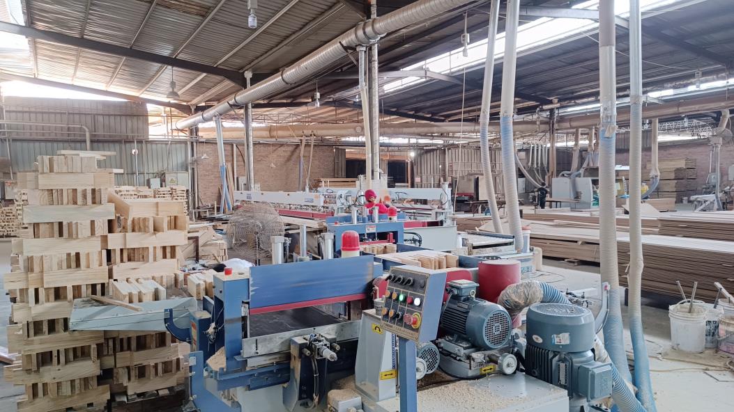 Fujian ShengMiao International Industrial Co., Ltd. factory image 3