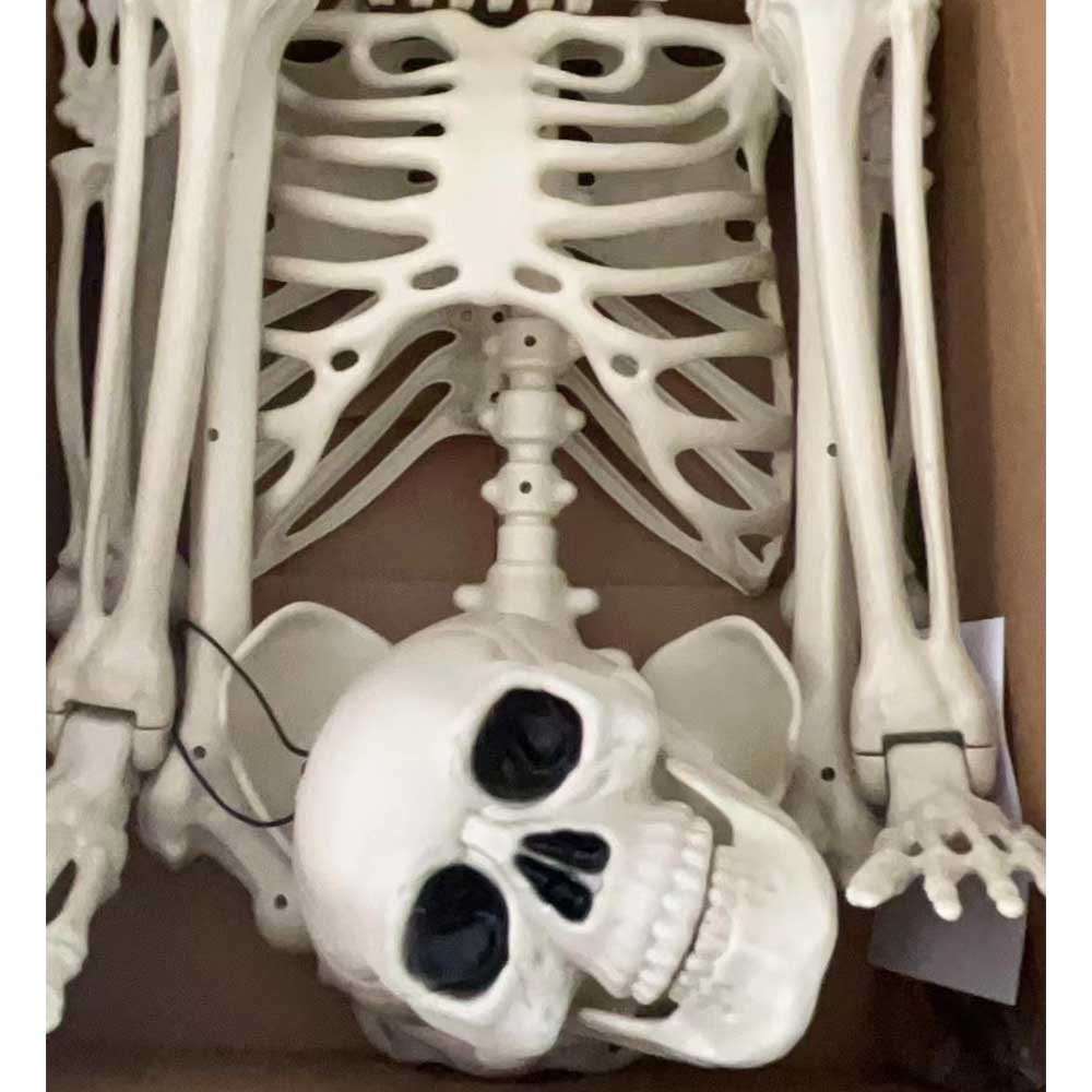 YIWU HUIQUAN GARMENT CO.,LTD. 165cm realistic plastic haunted house decoration Chamber supplies Skeleton man props Halloween skeletons 5.4ft party novelties