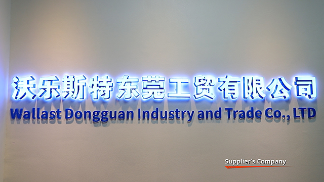 Wallast (dongguan) Industry And Trade Co., Ltd. Realistic Dildo