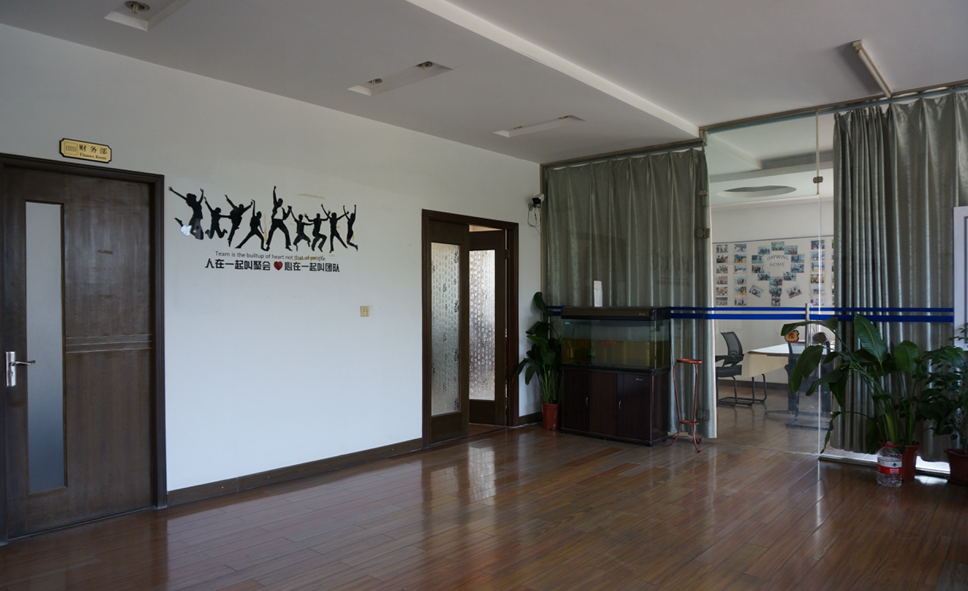 D&W Electric Vehicle (China) Co., Ltd. Electric Mountain Bikes