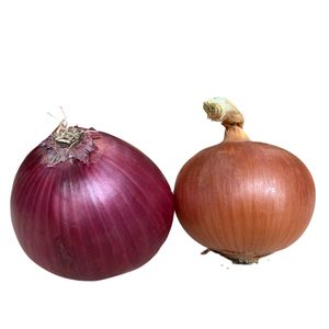 Sell To Japan Wholesale Red/Yellow Onion Fresh Onion Vegetables Onions Balls for Exporting