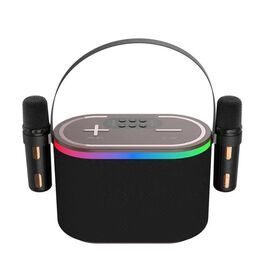 Wireless Bluetooth Dual Microphone Karaoke Speaker Lossless Sound Amplifier Bluetooth Speakers With 2 Wireless Microphones