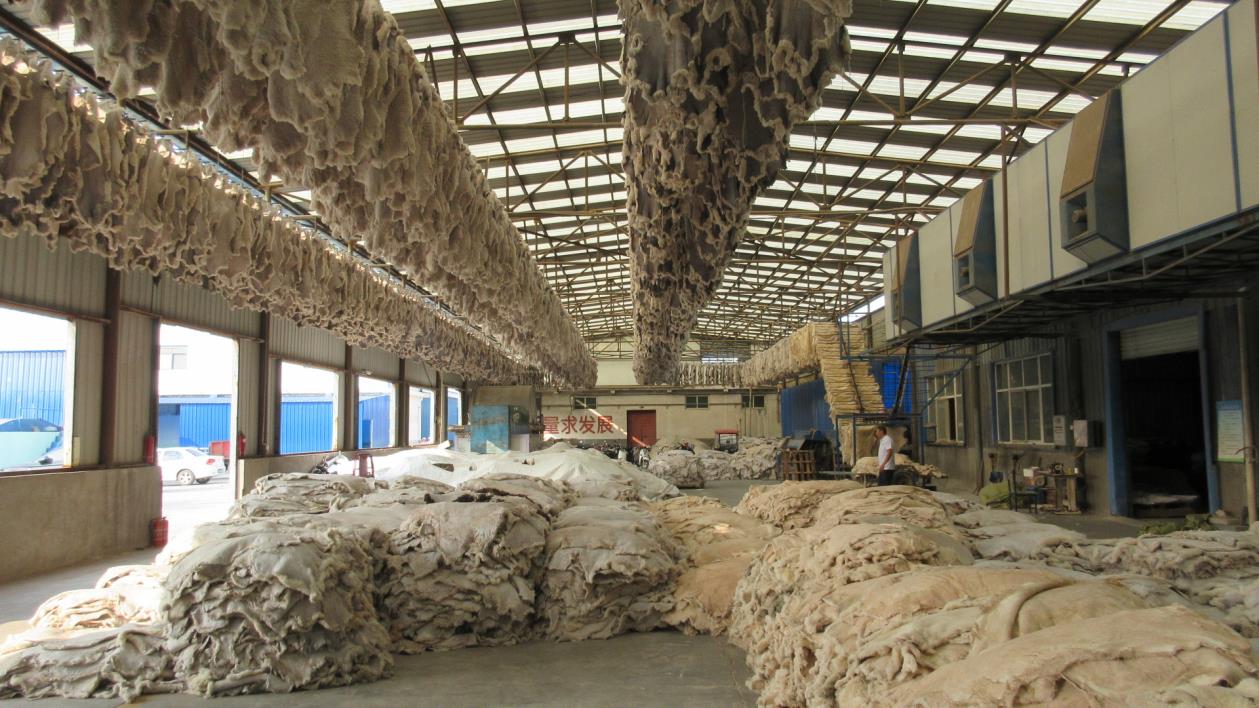 Qinyang Hesheng Leather Industry Co., Ltd. factory image 1