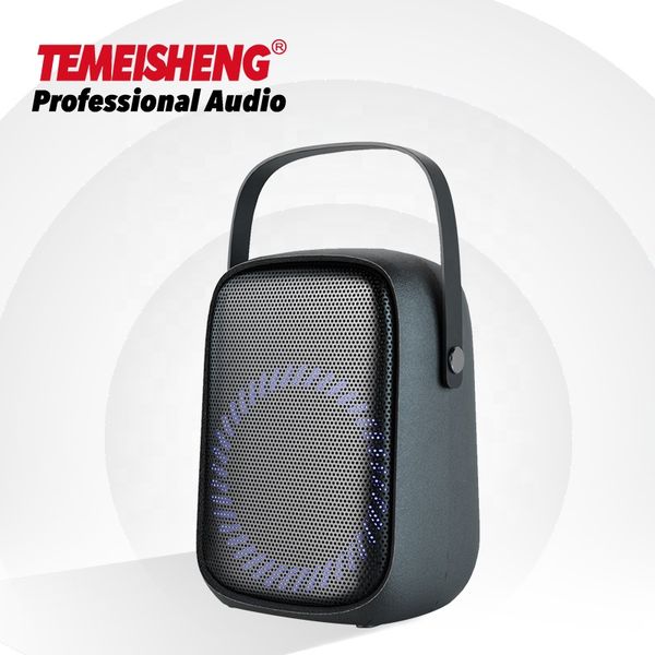 Temeisheng New Private Speaker with Ipx5 Waterproof Wearable LED Light Outdoor Party Bluetooth Speaker Box