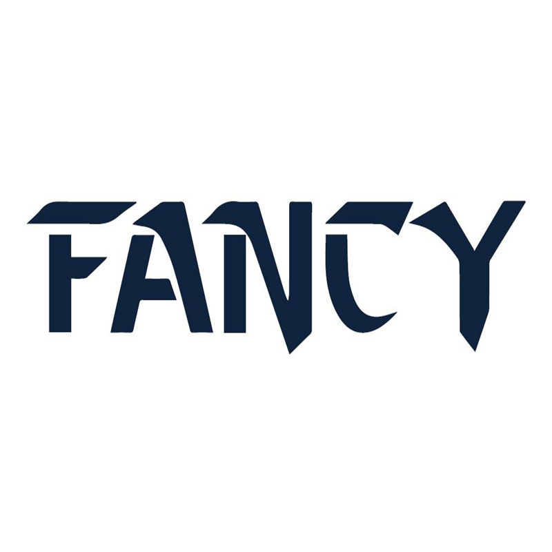 Fancy Plastic (Suzhou) Co., Ltd. logo