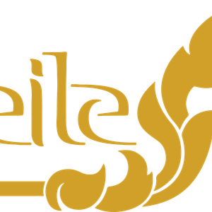 Company icon