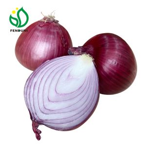 Onion China fresh onion red onion wholesale price bulk for frying