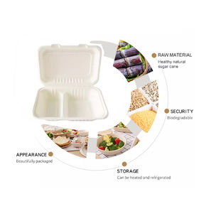 Food Container 6.5x6.5 Inch Sugarcane Paper Pulp Takeaway Food Container Box Biodegradable Packaging Box