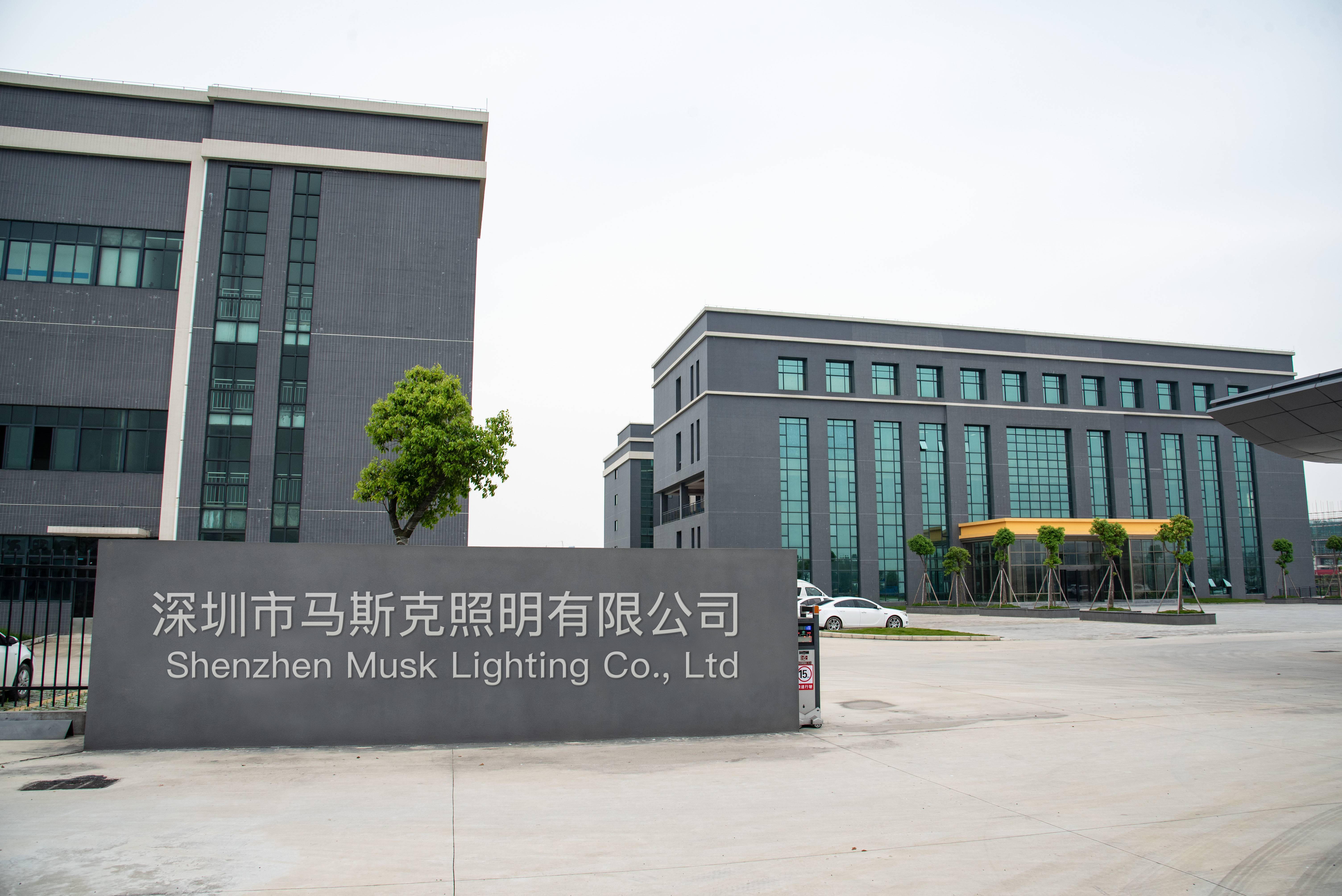 Shenzhen Musk Lighting Co., Ltd. Toys