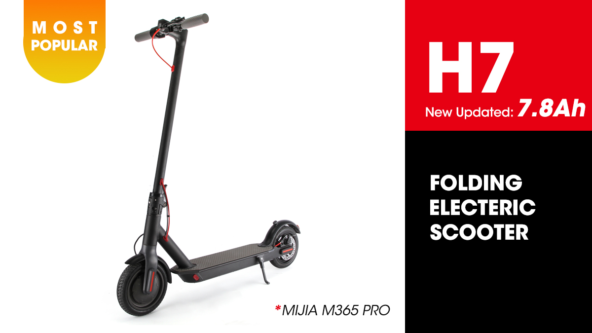 Shenzhen Qingmai Bicycle Co., Ltd. Folding Electric Bike