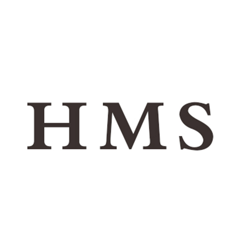 Shenzhen Hemasheng Intelligent Technology Co., Ltd. logo