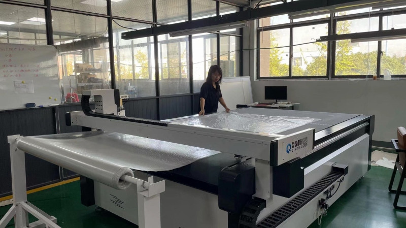 Zhangjiagang Rely Auto Technology Co., Ltd. Luxury VIP Captain Seats
