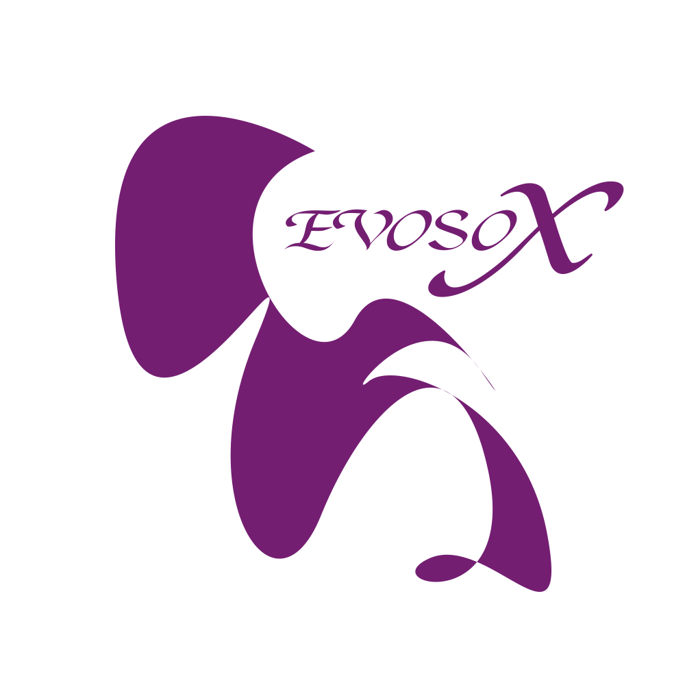 Guangzhou Evol Industrial Co., Ltd. logo