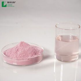 Hot sale Solvent Extraction fruit extract Strawberry powder 10:1 powder for milk