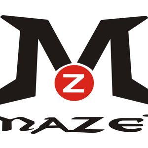 Company icon