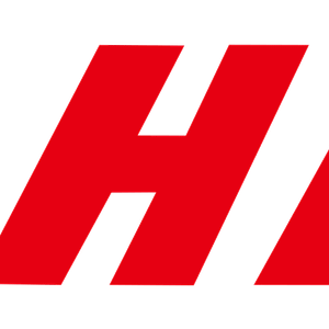 Company icon