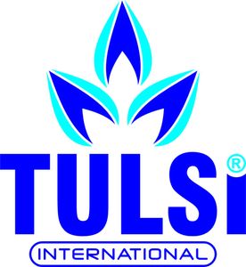 Company icon