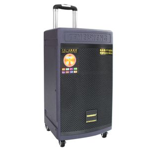 8 Inches Rechargeable Trolley Speaker With Telescopic Handle Sturdy Wheels For Karaoke